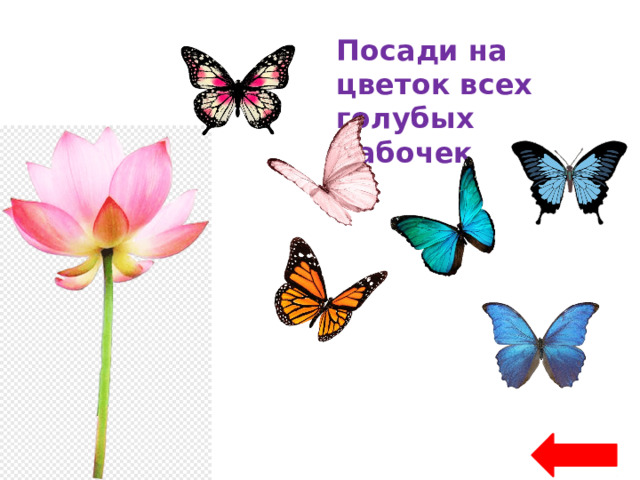 Посади на цветок всех голубых бабочек 