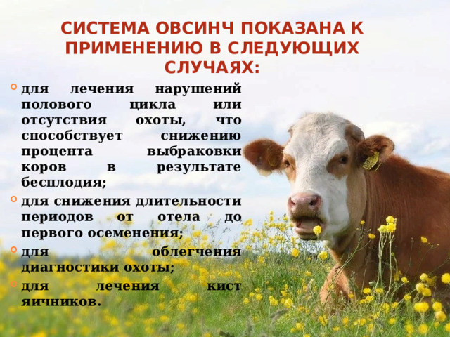 Система ОвСинч показана к применению в следующих случаях: для лечения нарушений полового цикла или отсутствия охоты, что способствует снижению процента выбраковки коров в результате бесплодия; для снижения длительности периодов от отела до первого осеменения; для облегчения диагностики охоты; для лечения кист яичников. 
