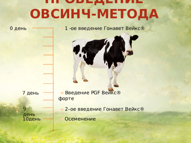 Проведение ОвСинч-метода ◄  1 -ое введение Гонавет Вейкс® 0 день   ◄  Введение PGF Вейкс® форте 7 день 9 день ◄  2–ое введение Гонавет Вейкс® 10день ◄  Осеменение 