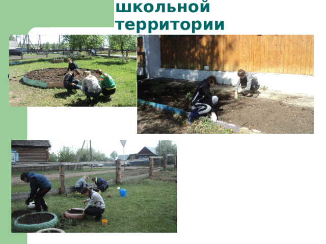 Озеленение оставшейся школьной территории 