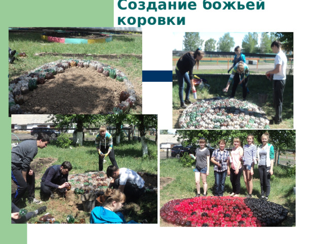 Создание божьей коровки 