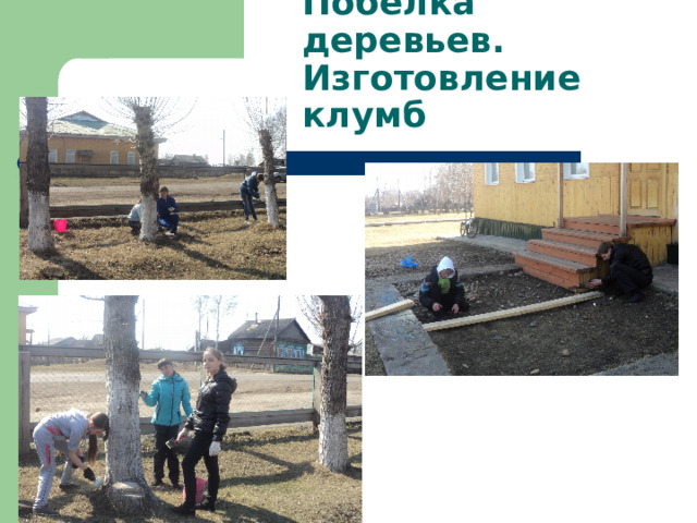 Побелка деревьев. Изготовление клумб 