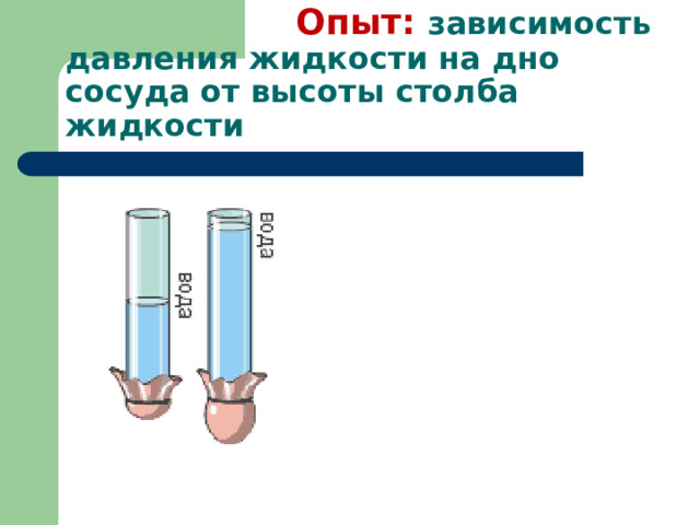  Опыт:  зависимость давления жидкости на дно сосуда от высоты столба жидкости 