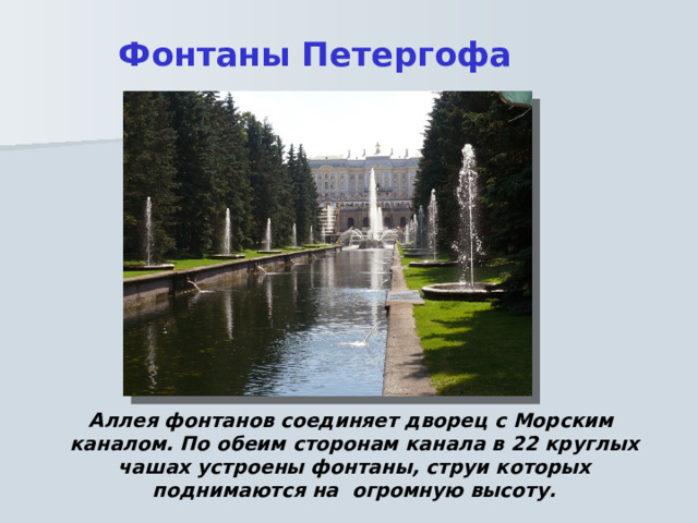 Фонтаны Петергофа Аллея фонтанов соединяет дворец с Морским каналом. По обеим сторонам канала в 22 круглых чашах устроены фонтаны, струи которых поднимаются на огромную высоту. 