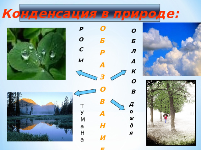 Конденсация в природе: Т У Ма Н а О Б Р А З О В А Н И Е  Р О С ы О Б Л А К О В  