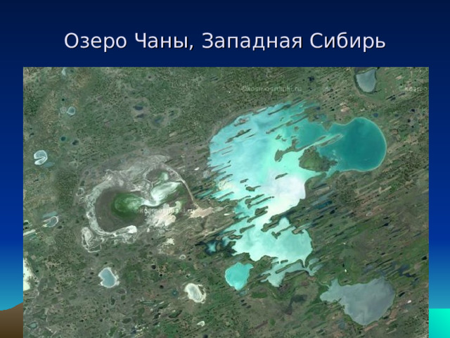 Озеро Чаны, Западная Сибирь 