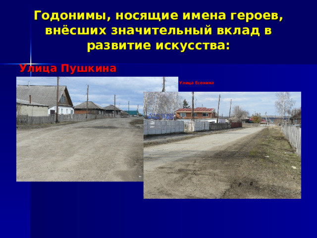 Годонимы, носящие имена героев, внёсших значительный вклад в развитие искусства: Улица Пушкина   Улица Есенина 