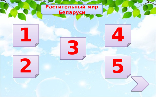 Растительный мир Беларуси 1 4 3 2 5 
