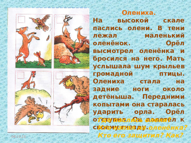 Олениха. На высокой скале паслись олени. В тени лежал маленький оленёнок. Орёл высмотрел оленёнка и бросился на него. Мать услышала шум крыльев громадной птицы. Олениха стала на задние ноги около детёныша. Передними копытами она старалась ударить орла. Орёл отступил. Он полетел к своему гнезду. Где паслись олени? Кто напал на оленёнка? Кто его защитил? Как? 08.10.23  