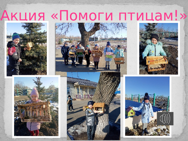 Акция «Помоги птицам!» 