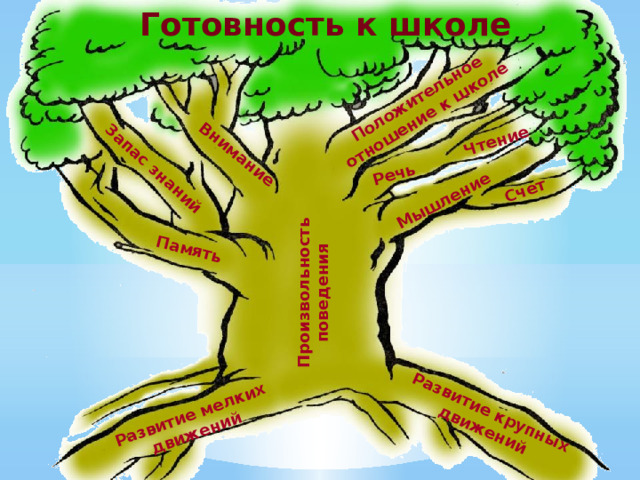 Готовность к школе Развитие мелких движений Развитие крупных движений Произвольность поведения Память Запас знаний Внимание Положительное отношение к школе Речь Чтение Мышление Счет  