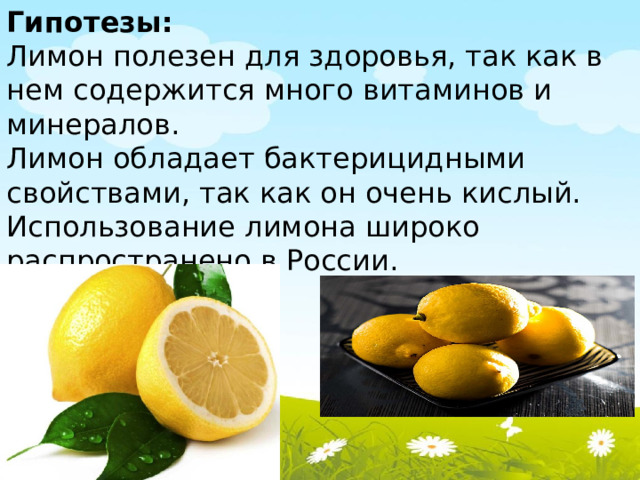 Гипотезы: Лимон полезен для здоровья, так как в нем содержится много витаминов и минералов. Лимон обладает бактерицидными свойствами, так как он очень кислый. Использование лимона широко распространено в России.  