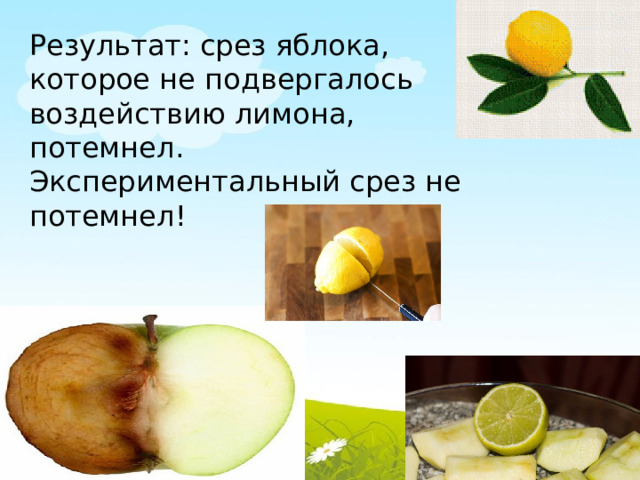 Результат: срез яблока, которое не подвергалось воздействию лимона, потемнел. Экспериментальный срез не потемнел!   