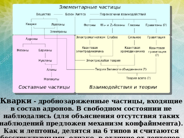 Кварки - дробнозаряженные частицы, входящие в состав адронов. В свободном состоянии не наблюдались (для объяснения отсутствия таких наблюдений предложен механизм конфайнмента). Как и лептоны, делятся на 6 типов и считаются бесструктурными, однако, в отличие от лептонов, участвуют в сильном взаимодействии. 