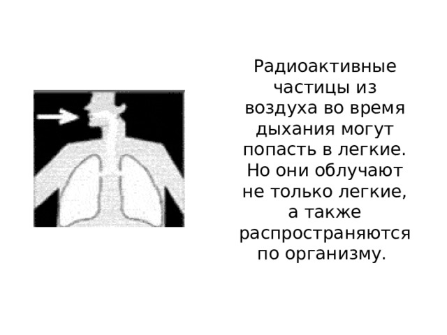 Радиоактивные частицы из воздуха во время дыхания могут попасть в легкие. Но они облучают не только легкие, а также распространяются по организму. 