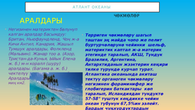Океан түбүндөгү чөкмөлөр Атлант океаны Аралдары  Негизинен материктен бөлүнүп калган аралдар басымдуу: Британ, Ньюфаундленд, Чоң ж-а Кичи Антил, Канария, Жашыл Тумшук аралдары, Фолкленд (Мальвин). Жанар тоо а. (Азор, Тристан-да-Кунья, Ыйык Елена ж. б.) м-н коралл (шуру) аралдары. (Багама а. ж. б.) чектелүү гана аянтты ээлейт. Аралдарынын жалпы аянты 1070 миң км2. Терриген чөкмөлөрү шагыл таштан эң майда чопо же пелит бүртүрчөлөрүнө чейинки шельф, материктик каптал ж-а материк этегинде таралып, АКШ, Түндүк Бразилия, Аргентина, Антарктиданын жээктерин кеңири тилке түрүндө курчап турат. Атлантика океанында акиташ тектүү органоген чөкмөлөрү негизинен фораминифер же глобигерин баткактары көп таралып, Исландиядан түндүктө 57-58° түштүк кеңдикке чейин океан түбүнүн 67,5%ин ээлейт. Бардык чуңкурдуктардын таманын кызыл чопо жаап жатат. Кен байлыктары: нефть, газ, темир-марганец конкрециясы ж. б. 
