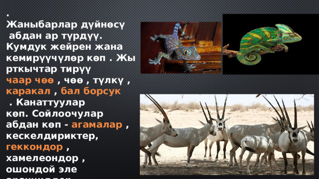 . Жаныбарлар дүйнөсү   абдан ар түрдүү.  Кумдук жейрен  жана кемирүүчүлөр көп . Жырткычтар тирүү  чаар чөө  ,  чөө  ,  түлкү  ,  каракал  ,  бал борсук  . Канаттуулар көп. Сойлоочулар абдан көп -  агамалар  , кескелдириктер,  геккондор  ,  хамелеондор  , ошондой эле арахниддер -  фалангдар  ,  чаяндар  . 