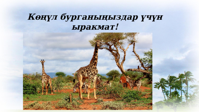 Көңүл бурганыңыздар үчүн ыракмат! 