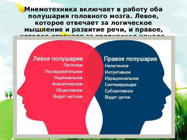 Мнемотехника включает в работу оба полушария головного мозга. Левое, которое отвечает за логическое мышление и развитие речи, и правое, которое отвечает за творческое начало. 