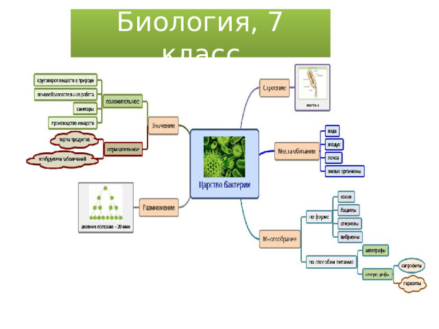 Биология, 7 класс 