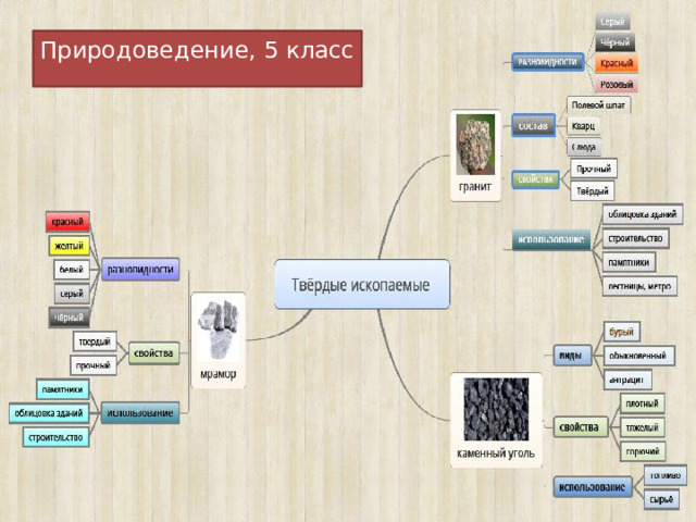 Природоведение, 5 класс 
