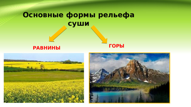 Основные формы рельефа  суши ГОРЫ РАВНИНЫ 