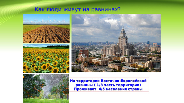 Как люди живут на равнинах? На территории Восточно-Европейской  равнины ( 1/3 часть территории) Проживает 4/5 населения страны 