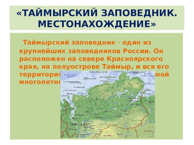 «ТАЙМЫРСКИЙ ЗАПОВЕДНИК.  МЕСТОНАХОЖДЕНИЕ»     Таймырский заповедник -  один из крупнейших заповедников России.   Он расположен на севере Красноярского края, на полуострове Таймыр, и вся его территория находится в зоне сплошной многолетней мерзлоты. 
