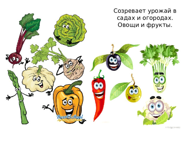 Созревает урожай в садах и огородах. Овощи и фрукты. 