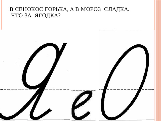 В сенокос горька, а в мороз сладка.  Что за ягодка?   