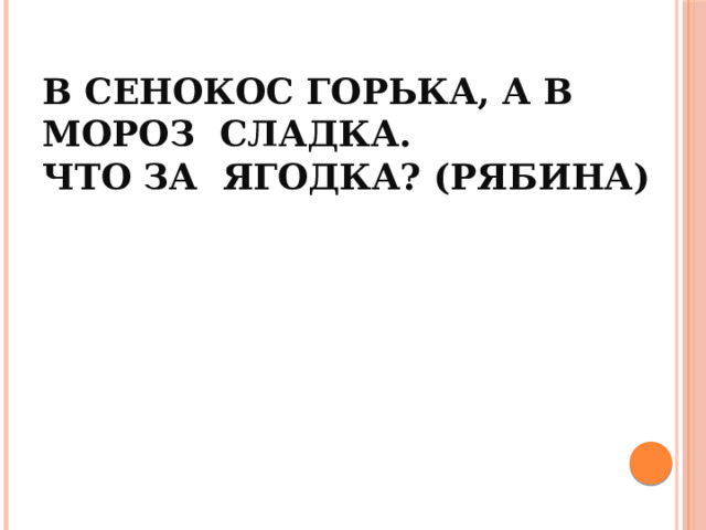 В сенокос горька, а в мороз сладка.  Что за ягодка? (Рябина)   