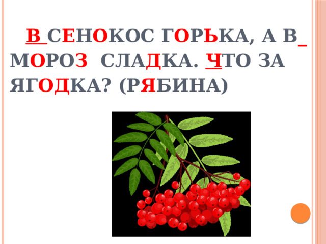 В с е н о кос г о р ь ка, а в _ м о ро з сла д ка. Ч то за яг од ка? (Р я бина)   