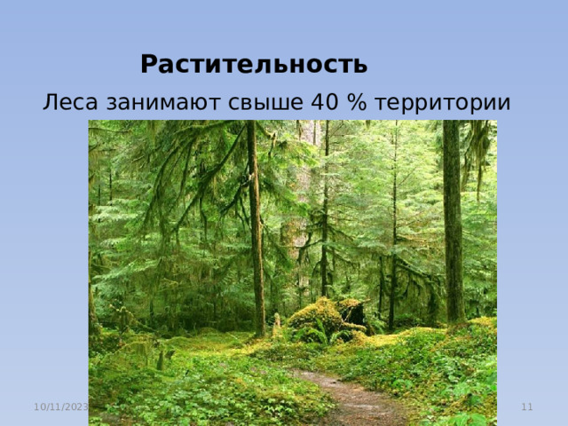    Растительность Леса занимают свыше 40 % территории региона. 10% -луга , 30% - пашня 10/11/2023  