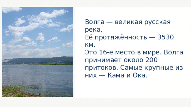 Волга — великая русская река. Её протяжённость — 3530 км. Это 16-е место в мире. Волга принимает около 200 притоков. Самые крупные из них — Кама и Ока. 