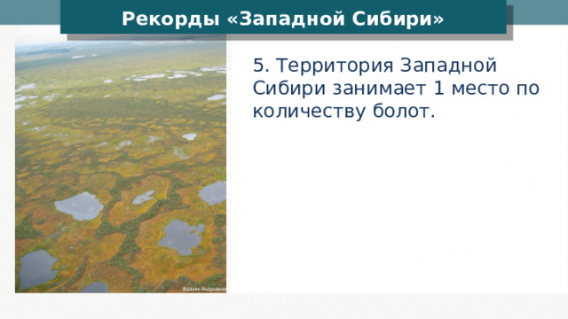 Рекорды «Западной Сибири» 5. Территория Западной Сибири занимает 1 место по количеству болот. Вадим Андрианов 