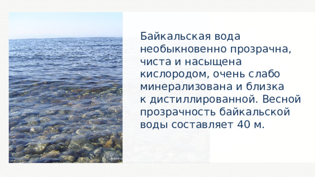 Байкальская вода необыкновенно прозрачна, чиста и насыщена кислородом, очень слабо минерализована и близка к дистиллированной. Весной прозрачность байкальской воды составляет 40 м. Rubinbot 