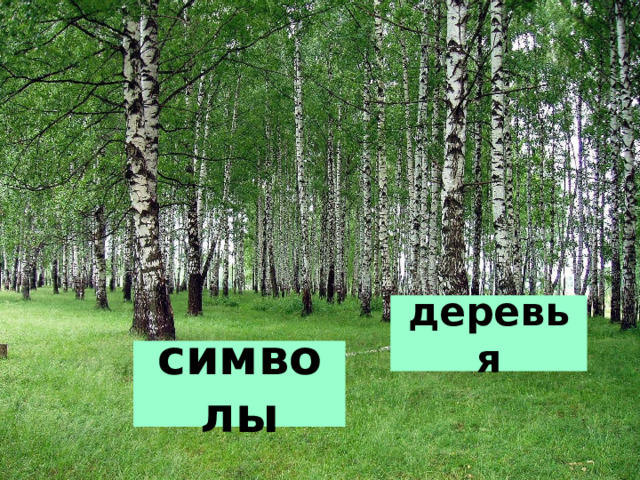 деревья символы 