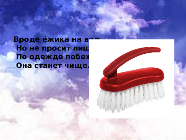 Вроде ёжика на вид  Но не просит пищи  По одежде побежит  Она станет чище. 