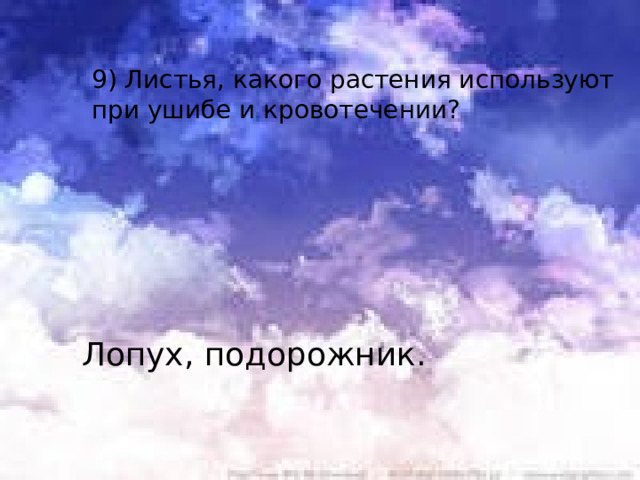 9) Листья, какого растения используют при ушибе и кровотечении? Лопух, подорожник.  