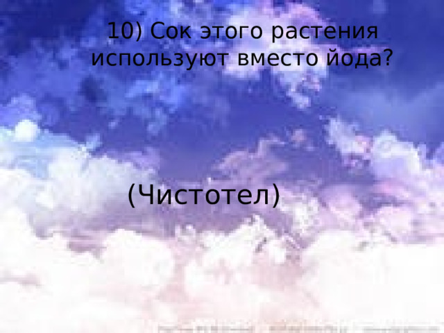 10) Сок этого растения используют вместо йода?  (Чистотел) 