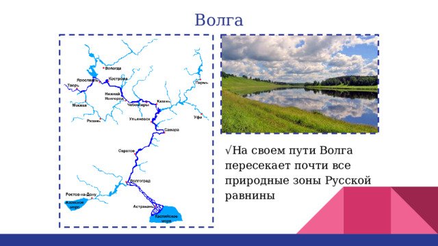 Волга √ На своем пути Волга пересекает почти все природные зоны Русской равнины 