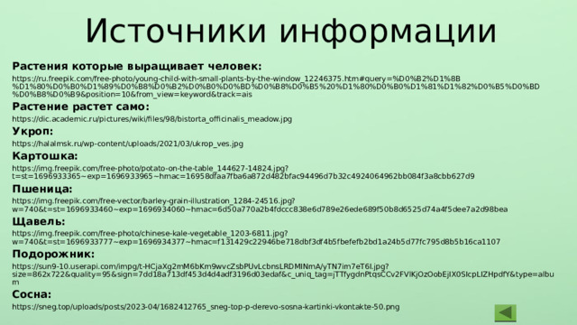 Источники информации Растения которые выращивает человек: https://ru.freepik.com/free-photo/young-child-with-small-plants-by-the-window_12246375.htm#query=%D0%B2%D1%8B%D1%80%D0%B0%D1%89%D0%B8%D0%B2%D0%B0%D0%BD%D0%B8%D0%B5%20%D1%80%D0%B0%D1%81%D1%82%D0%B5%D0%BD%D0%B8%D0%B9&position=10&from_view=keyword&track=ais Растение растет само: https://dic.academic.ru/pictures/wiki/files/98/bistorta_officinalis_meadow.jpg Укроп: https://halalmsk.ru/wp-content/uploads/2021/03/ukrop_ves.jpg Картошка: https://img.freepik.com/free-photo/potato-on-the-table_144627-14824.jpg?t=st=1696933365~exp=1696933965~hmac=16958dfaa7fba6a872d482bfac94496d7b32c4924064962bb084f3a8cbb627d9 Пшеница: https://img.freepik.com/free-vector/barley-grain-illustration_1284-24516.jpg?w=740&t=st=1696933460~exp=1696934060~hmac=6d50a770a2b4fdccc838e6d789e26ede689f50b8d6525d74a4f5dee7a2d98bea Щавель: https://img.freepik.com/free-photo/chinese-kale-vegetable_1203-6811.jpg?w=740&t=st=1696933777~exp=1696934377~hmac=f131429c22946be718dbf3df4b5fbefefb2bd1a24b5d77fc795d8b5b16ca1107 Подорожник: https://sun9-10.userapi.com/impg/t-HCjaXg2mM6bKm9wvcZsbPUvLcbnsLRDMINmA/yTN7im7eT6I.jpg?size=862x722&quality=95&sign=7dd18a713df453d4d4adf3196d03edaf&c_uniq_tag=jTTfygdnPtqsCCv2FVlKjOzOobEjIX0SIcpLIZHpdfY&type=album Сосна: https://sneg.top/uploads/posts/2023-04/1682412765_sneg-top-p-derevo-sosna-kartinki-vkontakte-50.png 