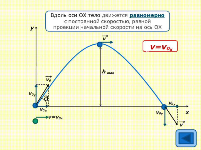 v 0 x =v 0 cosa Вдоль оси ОХ тело движется равномерно с постоянной скоростью, равной проекции начальной скорости на ось ОХ y v v 0 x =v 0 cosa v=v 0 х h max v 0 v 0 y a v 0 х v 0 х x v 0 y v=v 0 х v 