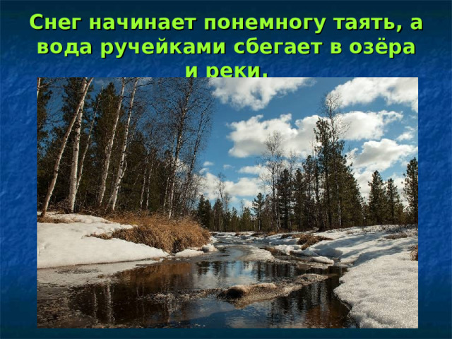 Снег начинает понемногу таять, а вода ручейками сбегает в озёра и реки. 