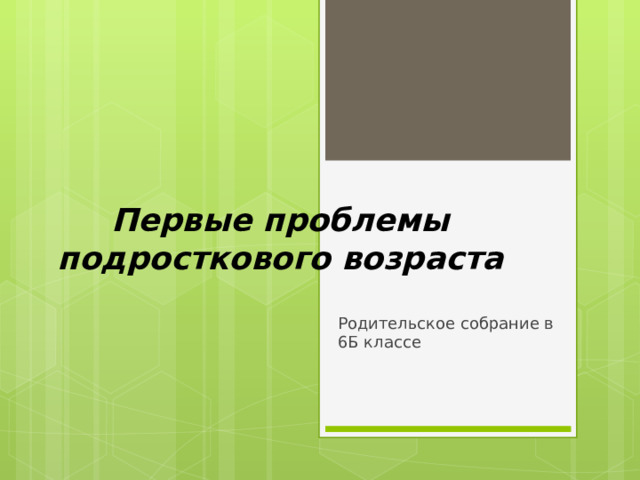 Первые проблемы подросткового возраста Родительское собрание в 6Б классе 