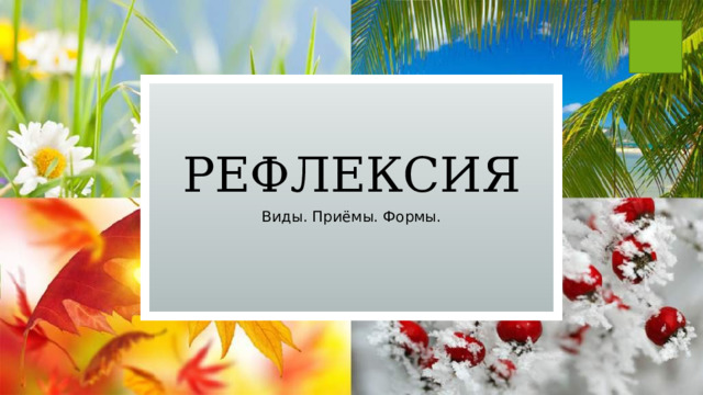 Рефлексия Виды. Приёмы. Формы. 