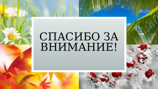 Спасибо за внимание! 