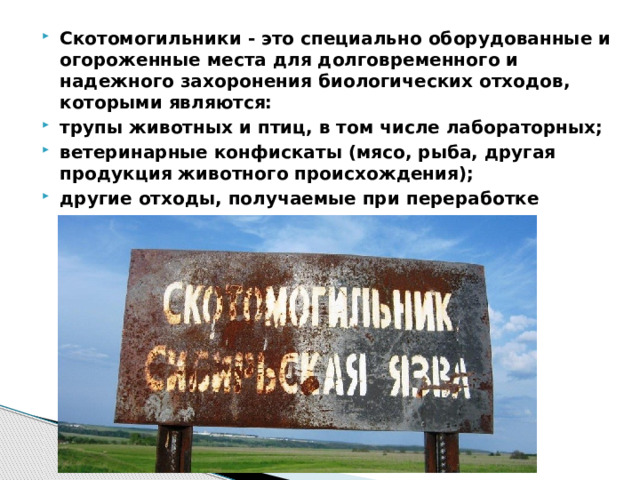 Скотомогильник телеграм канал