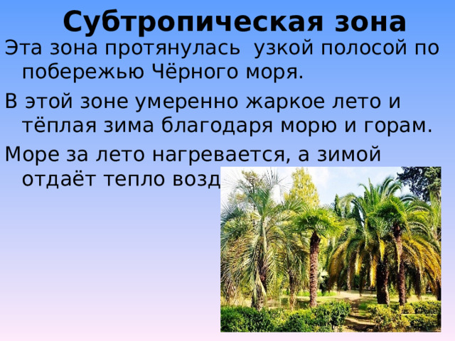 Субтропическая зона Эта зона протянулась узкой полосой по побережью Чёрного моря. В этой зоне умеренно жаркое лето и тёплая зима благодаря морю и горам. Море за лето нагревается, а зимой отдаёт тепло воздуху. 