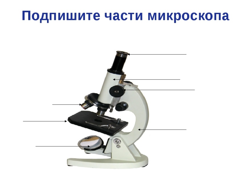 Рассмотрите рисунок и выполните задания 9 и 10